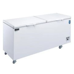 Dukers BD/BG-520 Commercial Chest Freezer