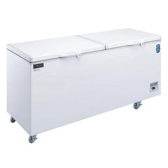 Dukers BD/BG-620 Commercial Chest Freezer